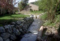 Anthropogenic impacts on Seattle area stream water quality