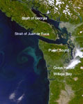Modeling and observing nutrient dynamics in Puget Sound