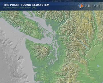 The Puget Sound Ecosystem Course