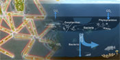 Aquatic Biogeochemical Cycling