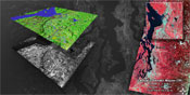 Coastal Landcover