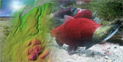 Evaluation of Habitat Protection
