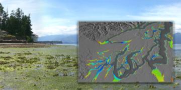 Nearshore Restoration