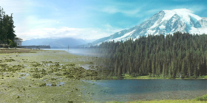 PRISM Class 260-The Puget Sound Ecosystem