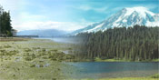PRISM Class 260-The Puget Sound Ecosystem