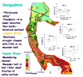 Reconstructing the historical riverine landscape