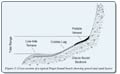 Cross-section of typical Puget Sound beach