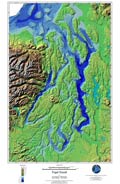 Puget Sound DEM