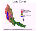 URBANIZATION IMPACTS ON STREAM NUTRIENT
