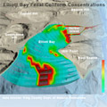Elliott Bay Fecal Coliform Concentrations