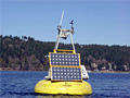 Oceanic Remote Chemical-optical Analyzer (ORCA) Buoy
