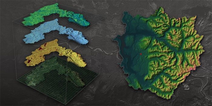 Land Surface Dynamics