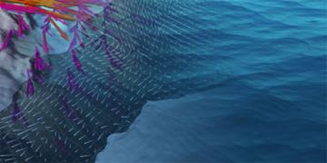 Marine Dynamics