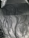 09apr683
