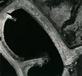aerial_misc