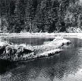 4thPond1967