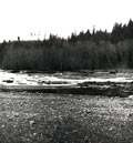 landscape1