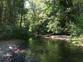 Creek  Panorama 5 