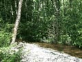 Creek Panorama 1 6/22/00