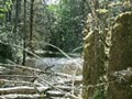 Creek Panorama 2 6/22/00