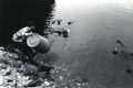 1979 Bucket