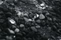1979 Rocks 2