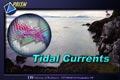 Tidal Currents Header