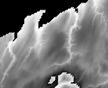 150 Meter DEM B and W