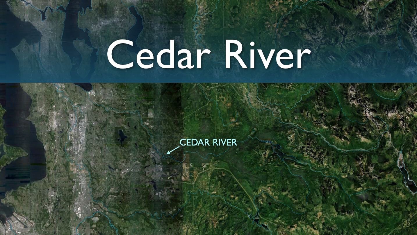 Cedar River