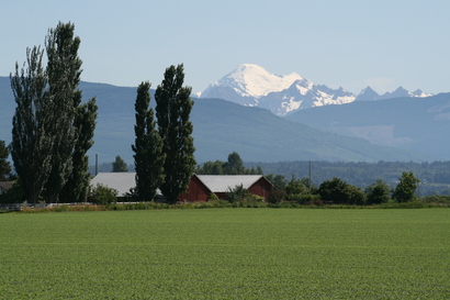 Skagit Farmland Mt Baker Background