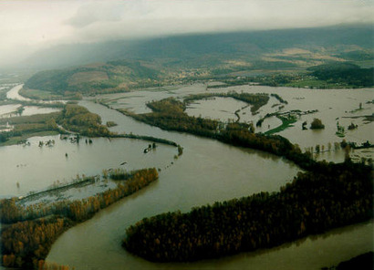 Skagit River During 1995 Flood